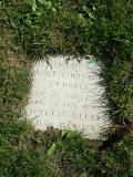 image of grave number 116807